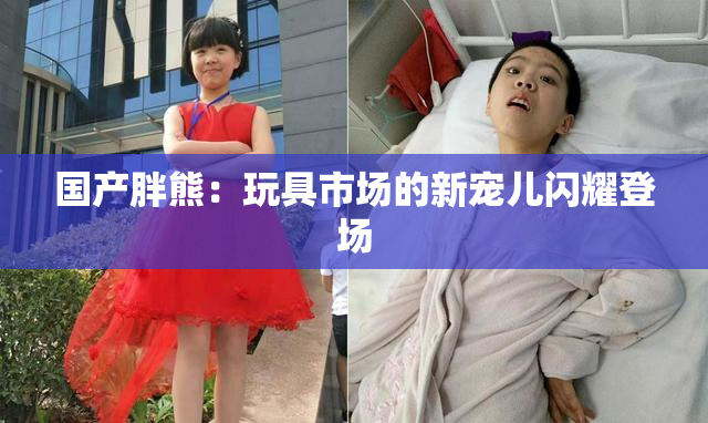 国产胖熊：玩具市场的新宠儿闪耀登场