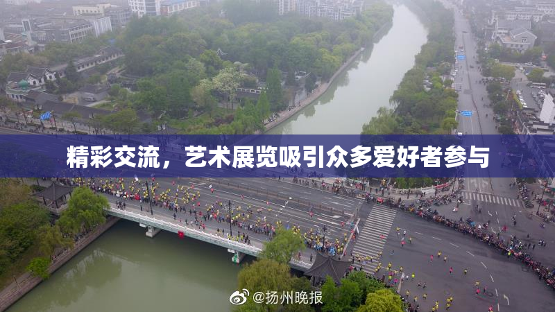 精彩交流，艺术展览吸引众多爱好者参与