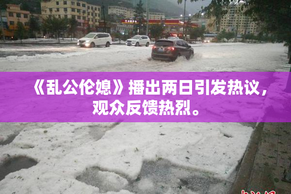 《乱公伦媳》播出两日引发热议，观众反馈热烈。
