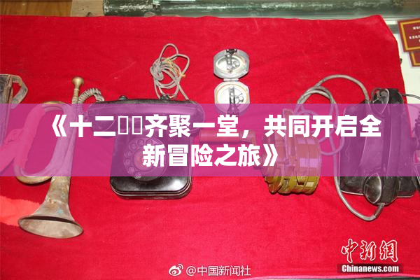 《十二妺妺齐聚一堂，共同开启全新冒险之旅》