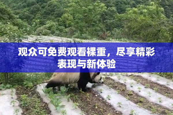 观众可免费观看裸重，尽享精彩表现与新体验