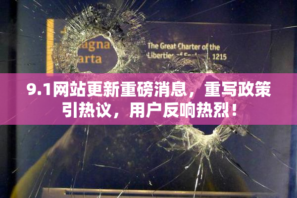 9.1网站更新重磅消息，重写政策引热议，用户反响热烈！