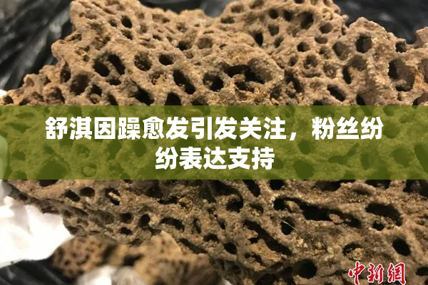 舒淇因躁愈发引发关注，粉丝纷纷表达支持