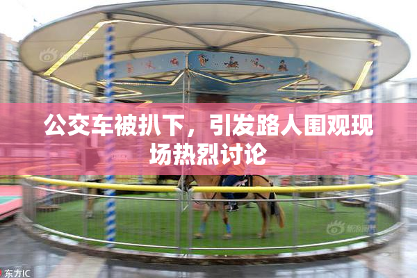 公交车被扒下，引发路人围观现场热烈讨论