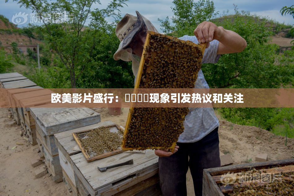 欧美影片盛行：❌‌❌‌现象引发热议和关注