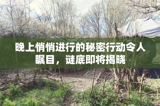 晚上悄悄进行的秘密行动令人瞩目，谜底即将揭晓