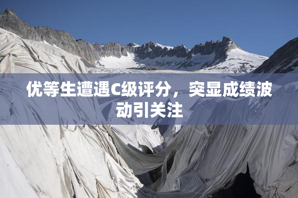优等生遭遇C级评分，突显成绩波动引关注