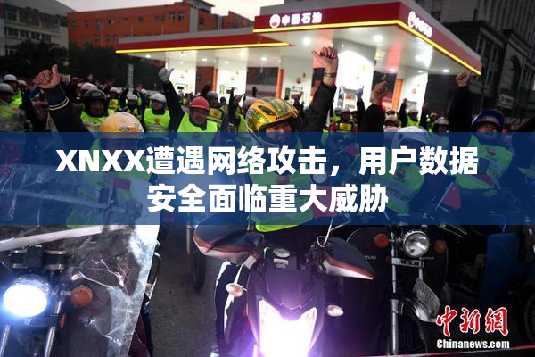 XNXX遭遇网络攻击，用户数据安全面临重大威胁
