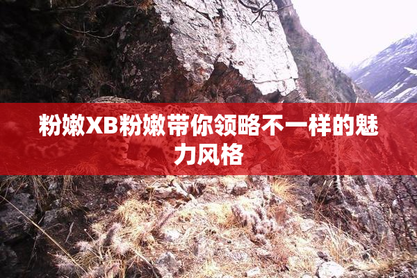 粉嫩XB粉嫩带你领略不一样的魅力风格