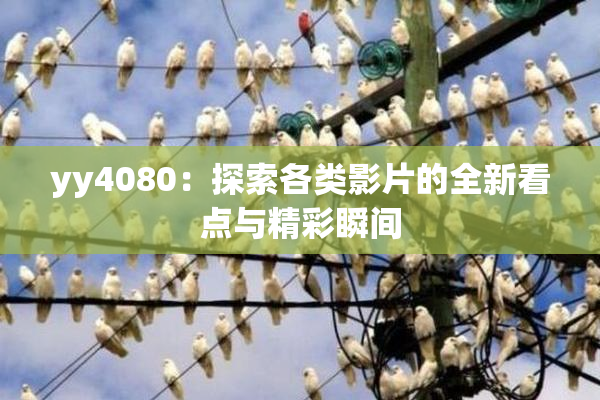 yy4080：探索各类影片的全新看点与精彩瞬间