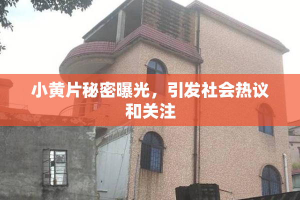 小黄片秘密曝光，引发社会热议和关注
