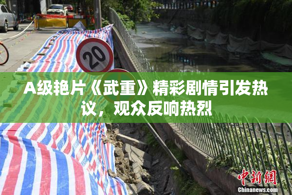 A级艳片《武重》精彩剧情引发热议，观众反响热烈