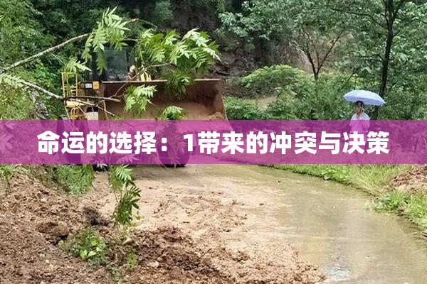 命运的选择：1带来的冲突与决策