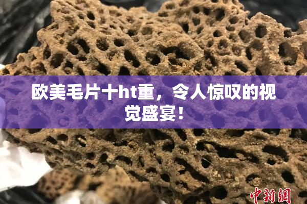 欧美毛片十ht重，令人惊叹的视觉盛宴！