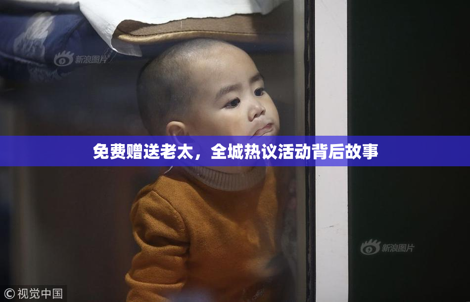 免费赠送老太，全城热议活动背后故事