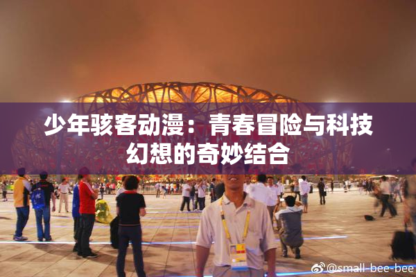 少年骇客动漫：青春冒险与科技幻想的奇妙结合