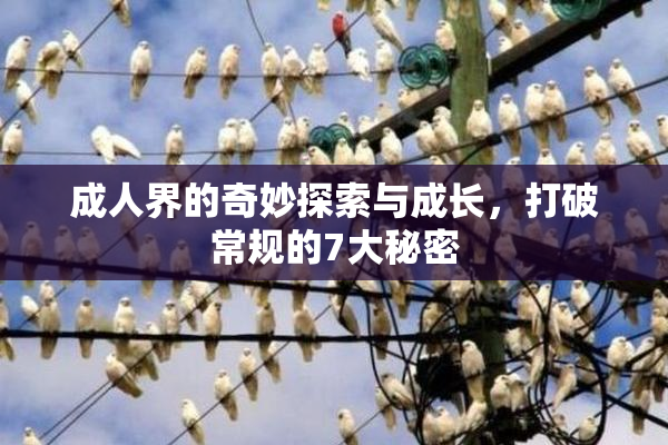 成人界的奇妙探索与成长，打破常规的7大秘密