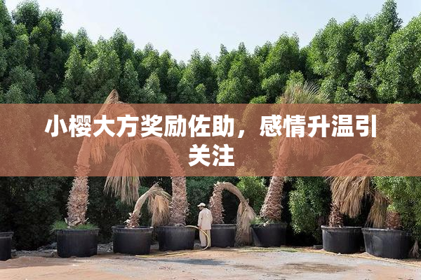 小樱大方奖励佐助，感情升温引关注