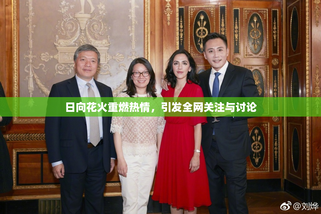 日向花火重燃热情，引发全网关注与讨论