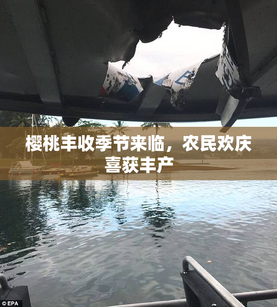 樱桃丰收季节来临，农民欢庆喜获丰产