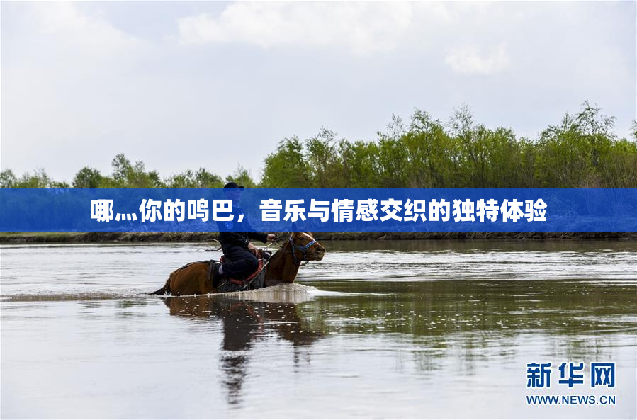 哪灬你的鸣巴，音乐与情感交织的独特体验
