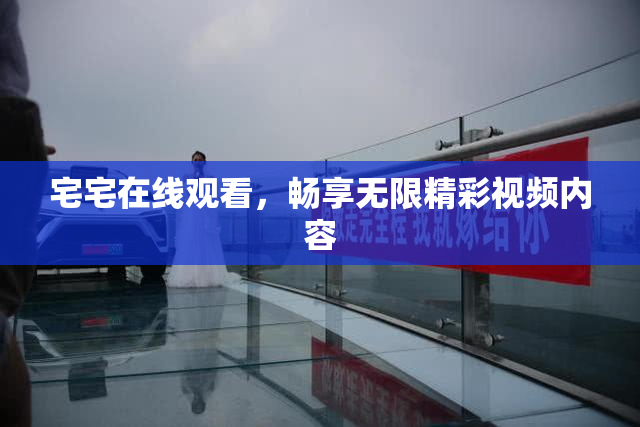 宅宅在线观看，畅享无限精彩视频内容
