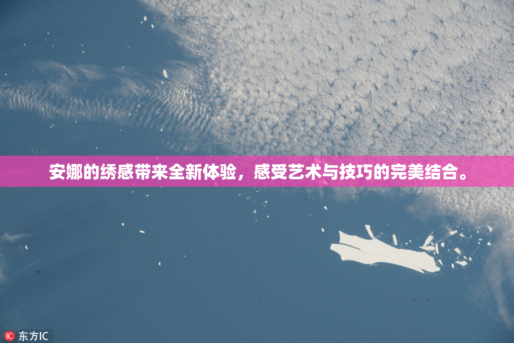 安娜的绣感带来全新体验，感受艺术与技巧的完美结合。