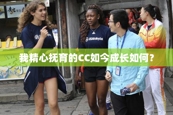 我精心抚育的CC如今成长如何？