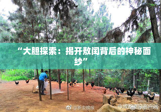 “大胆探索：揭开敖闰背后的神秘面纱”