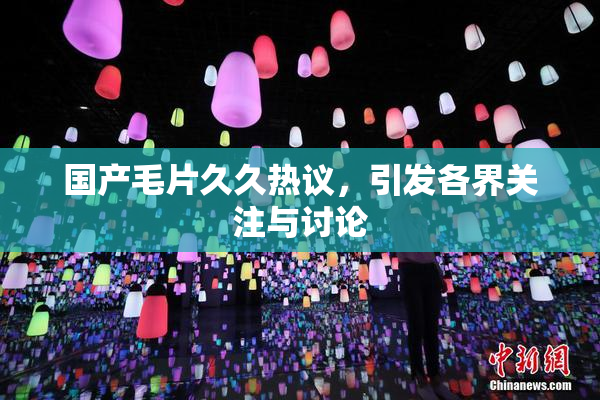 国产毛片久久热议，引发各界关注与讨论