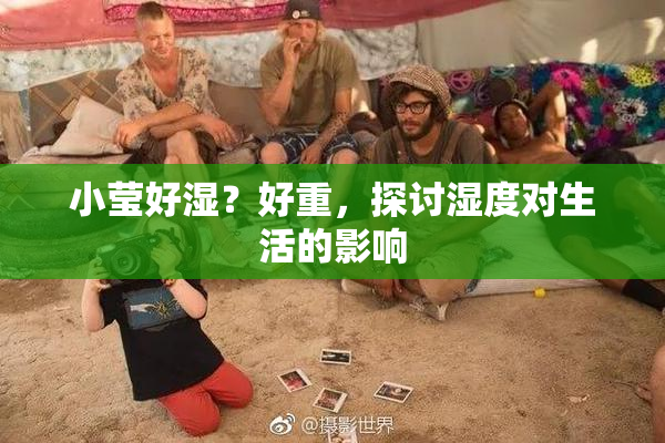 小莹好湿？好重，探讨湿度对生活的影响