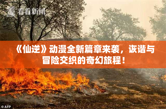 《仙逆》动漫全新篇章来袭，诙谐与冒险交织的奇幻旅程！
