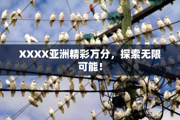 XXXX亚洲精彩万分，探索无限可能！
