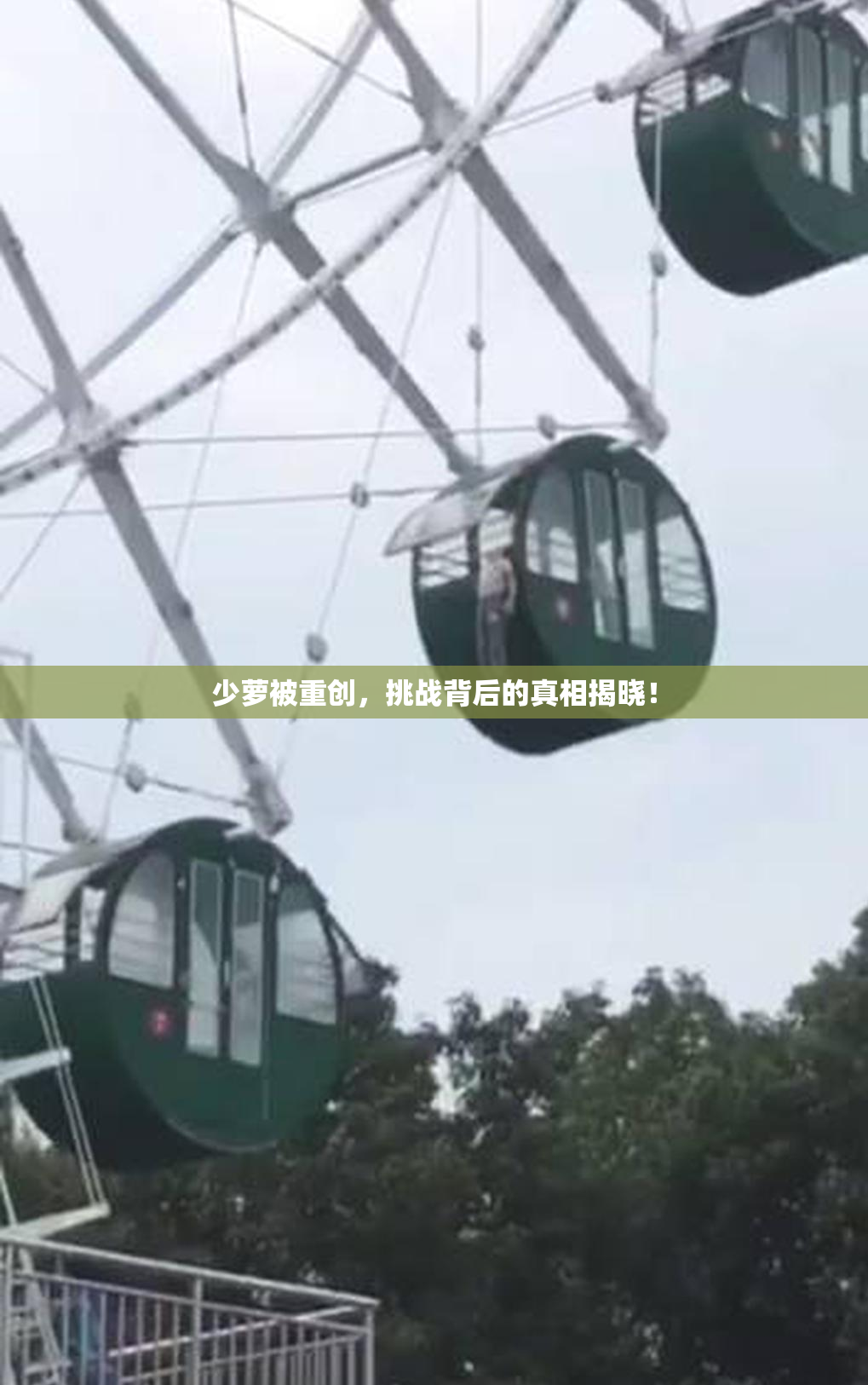 少萝被重创，挑战背后的真相揭晓！