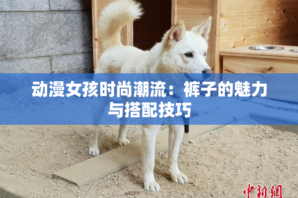 动漫女孩时尚潮流：裤子的魅力与搭配技巧