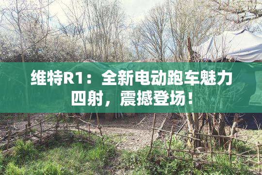 维特R1：全新电动跑车魅力四射，震撼登场！