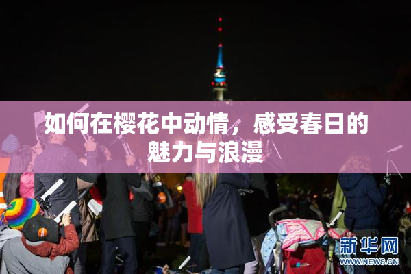 如何在樱花中动情，感受春日的魅力与浪漫