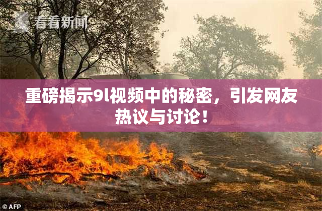 重磅揭示9l视频中的秘密，引发网友热议与讨论！