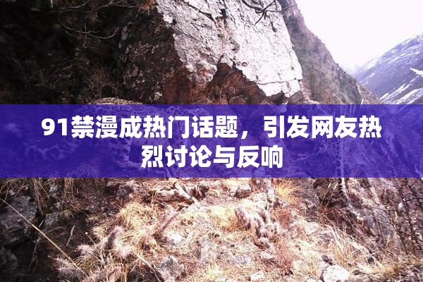 91禁漫成热门话题，引发网友热烈讨论与反响