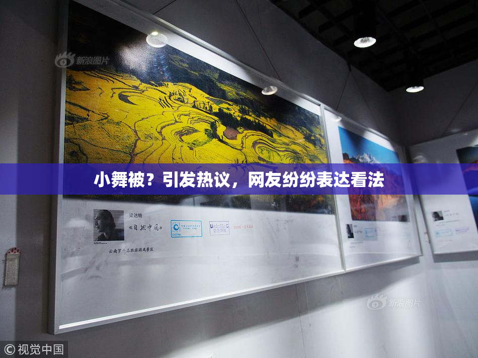 小舞被？引发热议，网友纷纷表达看法