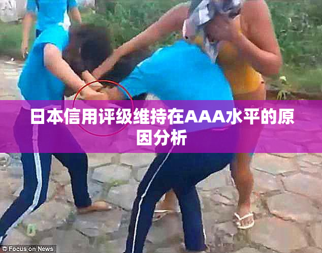 日本信用评级维持在AAA水平的原因分析