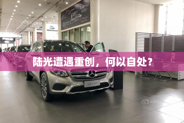 陆光遭遇重创，何以自处？