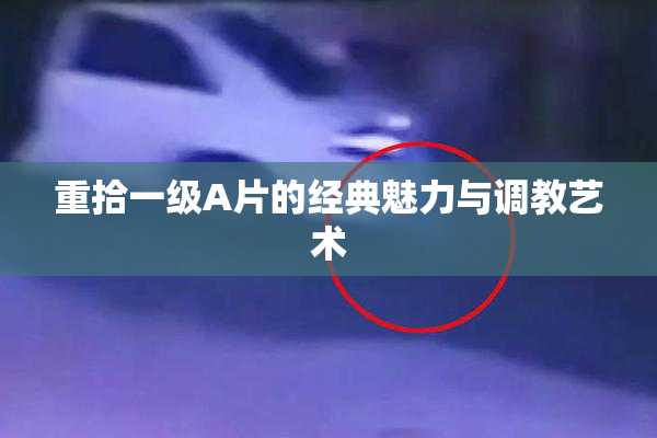 重拾一级A片的经典魅力与调教艺术