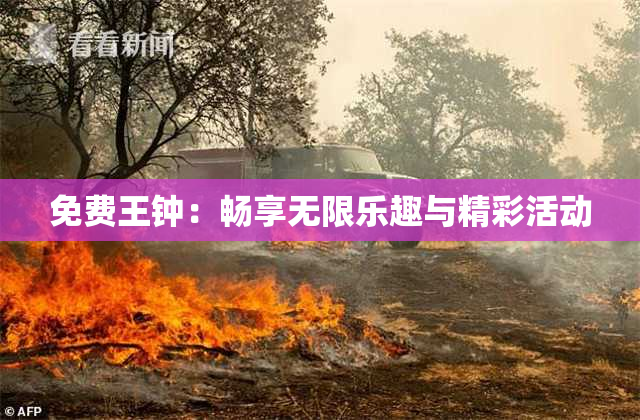 免费王钟：畅享无限乐趣与精彩活动
