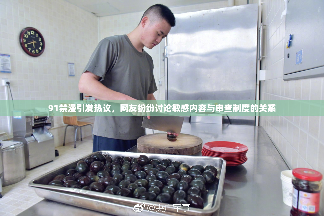 91禁漫引发热议，网友纷纷讨论敏感内容与审查制度的关系