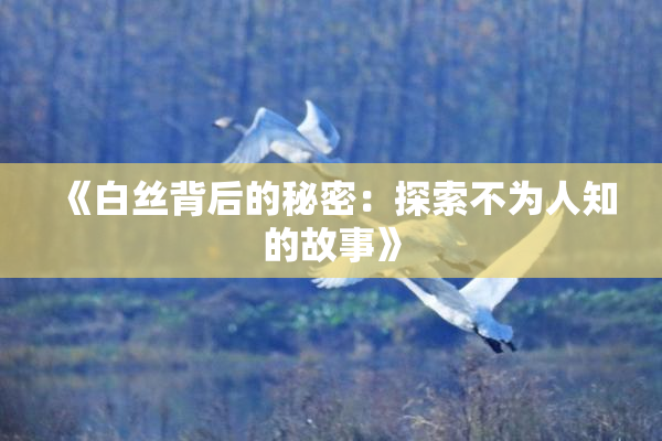 《白丝背后的秘密：探索不为人知的故事》