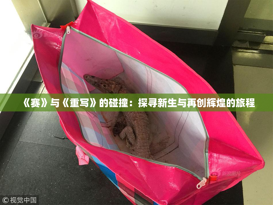 《赛》与《重写》的碰撞：探寻新生与再创辉煌的旅程
