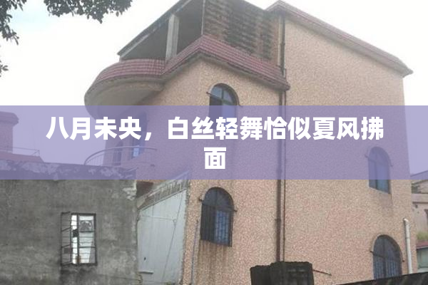 八月未央，白丝轻舞恰似夏风拂面