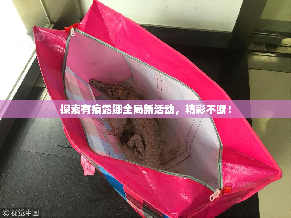 探索有痕露娜全局新活动，精彩不断！