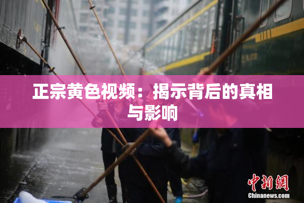 正宗黄色视频：揭示背后的真相与影响
